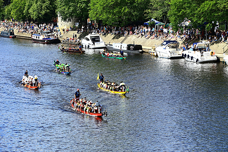 BV6R4389 - DRAGON BOAT RACE 2017