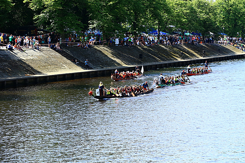 BV6R4399 - DRAGON BOAT RACE 2017