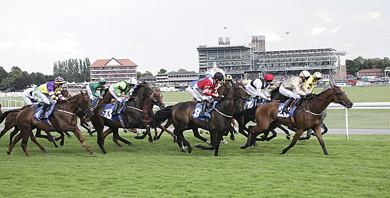  YORK RACES - PORTFOLIO 2015
