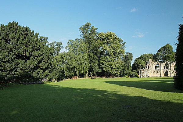 IMGL7611 - MUSEUM GARDENS