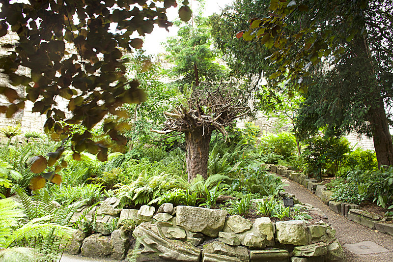 JUNE 2014  -13 - FOUR SEASONS MUSEUM GARDENS