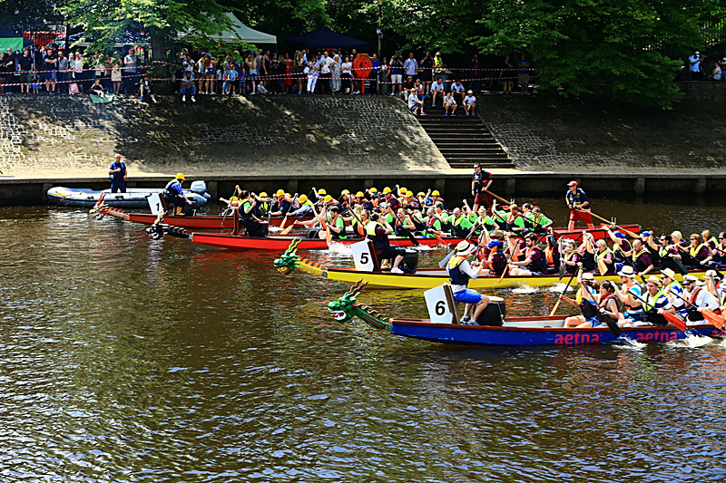 BV6R4350 - DRAGON BOAT RACE 2017