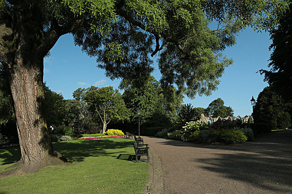 IMGL7603 - MUSEUM GARDENS