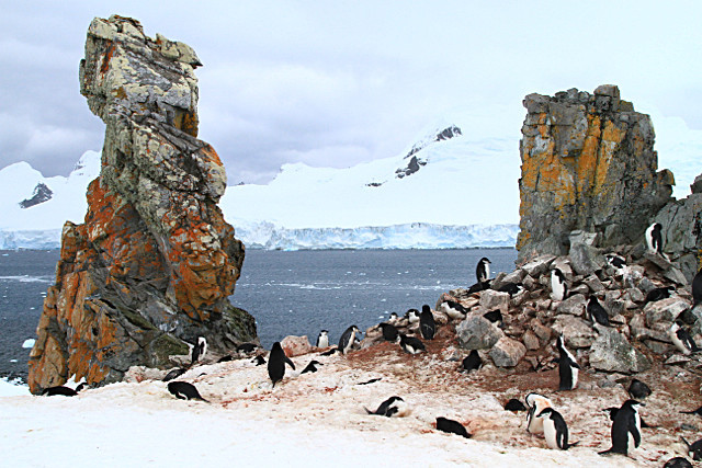  - ANTARCTICA NOV 2014