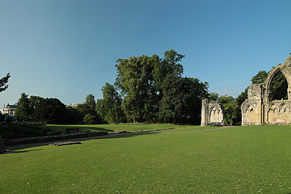 IMGL7619 - MUSEUM GARDENS