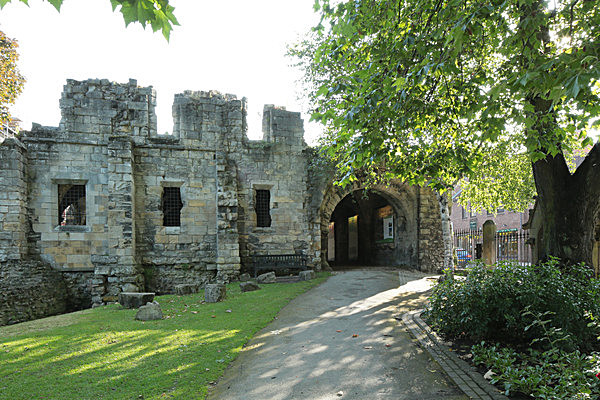 IMGL7594 - MUSEUM GARDENS