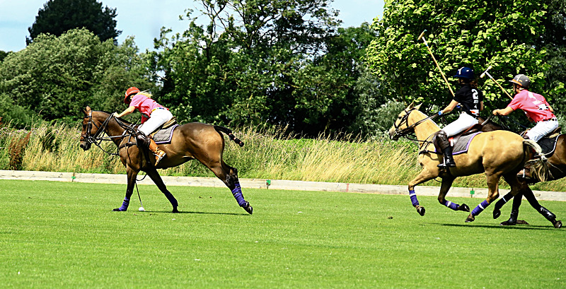 BV6R6772 - WHITE ROSE POLO CLUB LADIES DAY