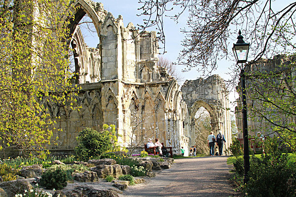 6432757 - MUSEUM GARDENS