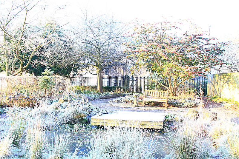 BV6R0293 york cemetery pond in winter - YORK CEMETERY CHAPEL CHRISTMAS CARD 2017