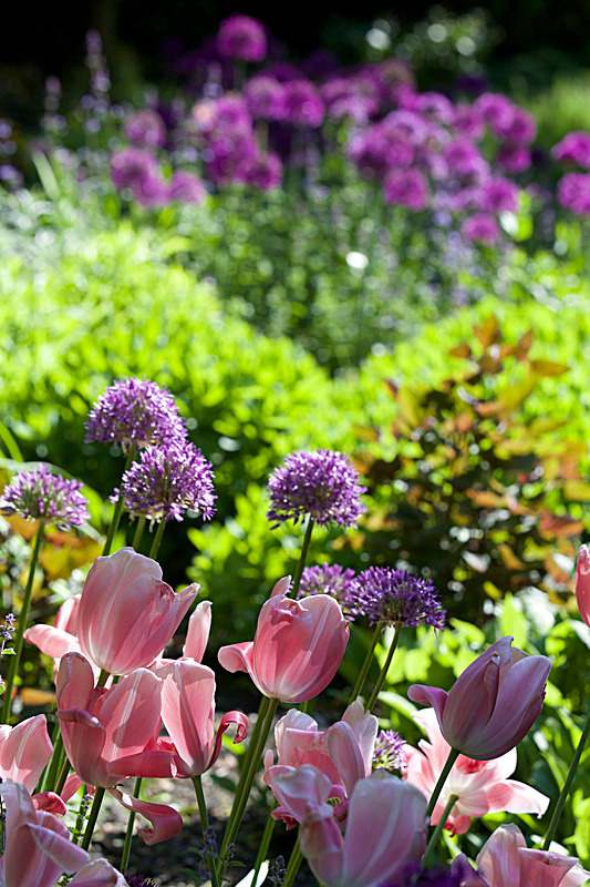 JUNE 2015-8 - FOUR SEASONS MUSEUM GARDENS