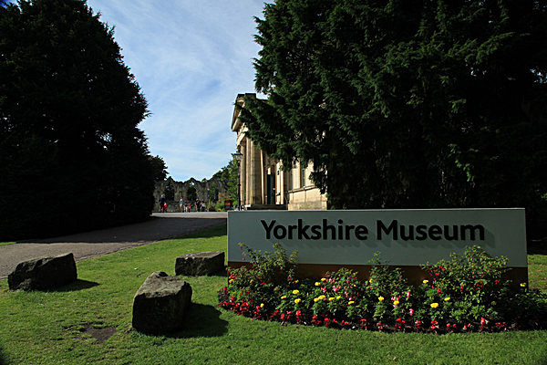 IMG_8257 - MUSEUM GARDENS