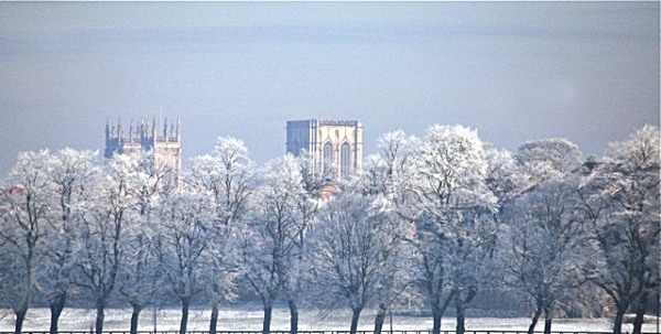 IMG_2118 MINSTER AND FROSTED TREES FROM YORK KNAVESMIRE copy 3 - YORK SNOW 2013