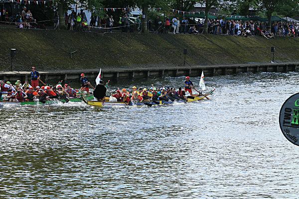 IMGL6971 - DRAGON BOAT RACE 2014 York Rotary Club