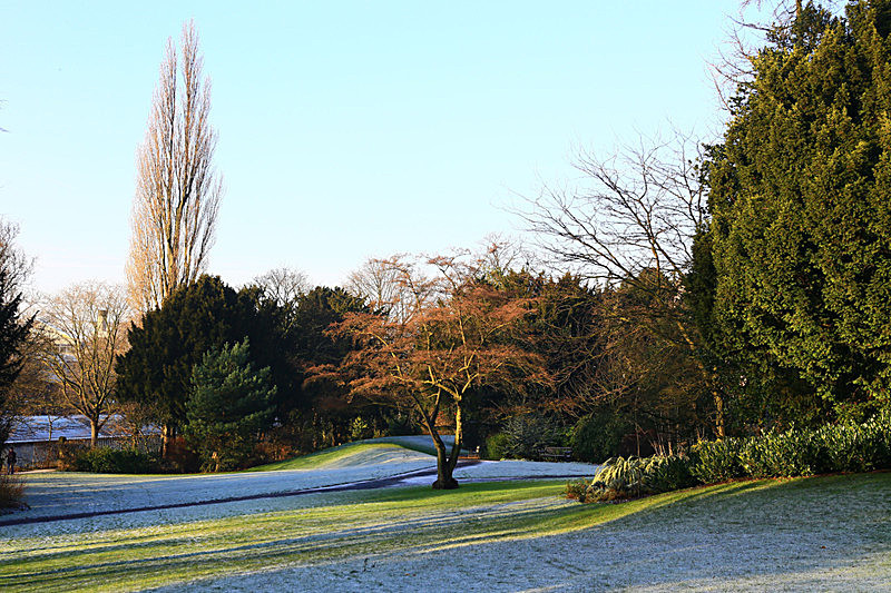 DECEMBER 2014-3 - FOUR SEASONS MUSEUM GARDENS
