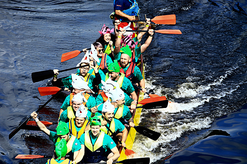 BV6R4216 - DRAGON BOAT RACE 2017