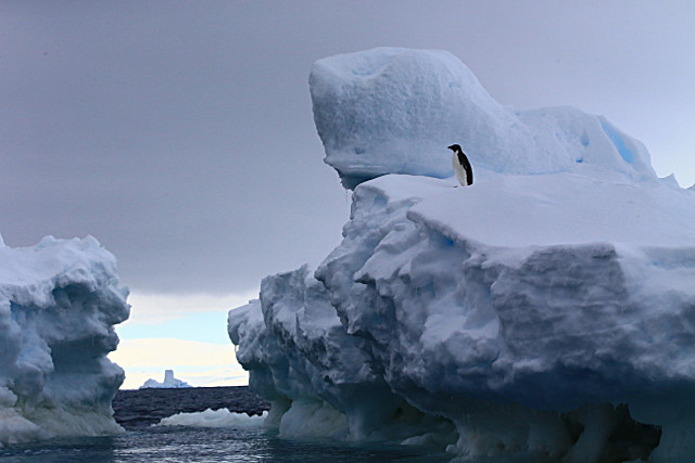  - ANTARCTICA NOV 2014