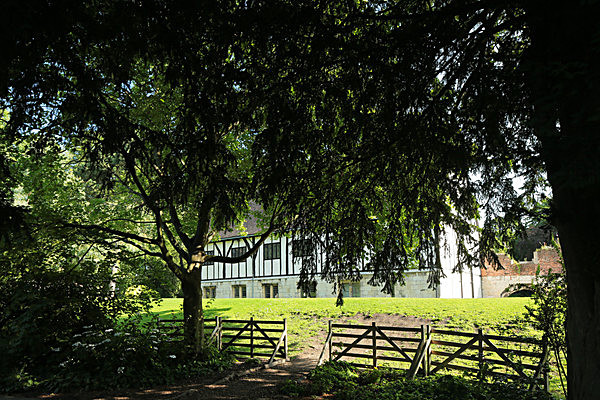 IMGL7711 - MUSEUM GARDENS