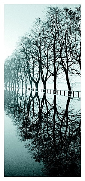 CS13  REFLECTIONS, KNAVESMIRE RD, YORK - BLAKE GALLERY EXHIBITION Fri 20th Feb - Sat 7th March 2009