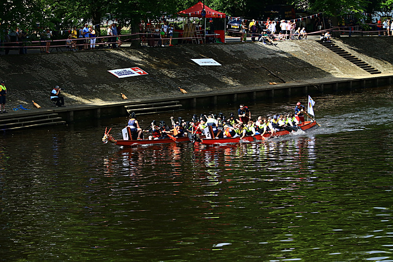BV6R4255 - DRAGON BOAT RACE 2017
