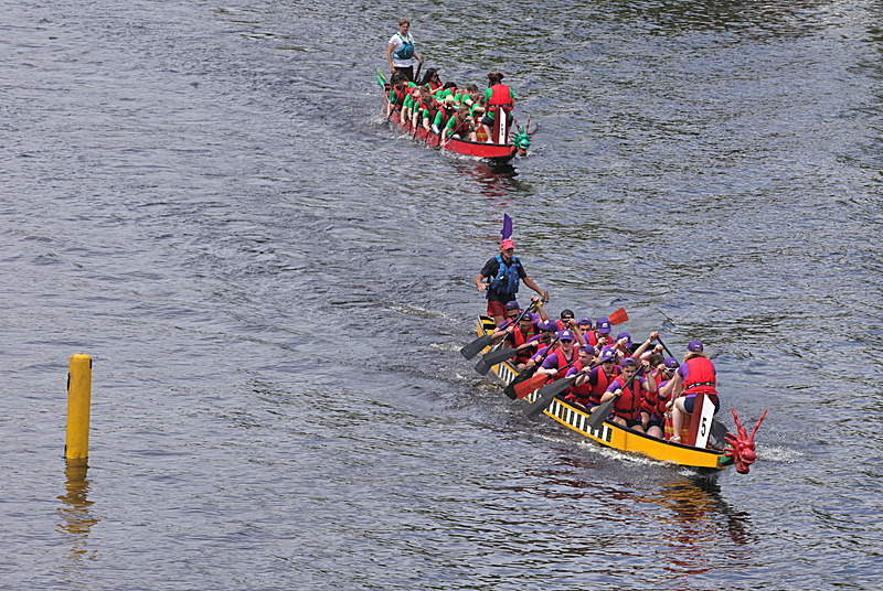 0I9A6896 - DRAGON BOAT RACE 2025