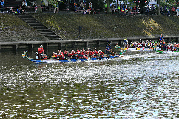 IMGL6969 - DRAGON BOAT RACE 2014 York Rotary Club