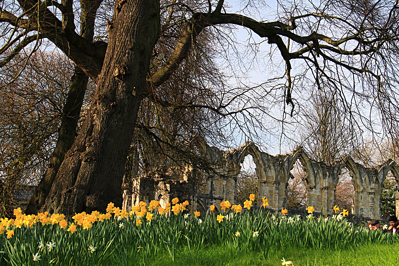 APRIL 2015-3 - FOUR SEASONS MUSEUM GARDENS