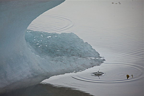 IMG_0193 copy - SVALBARD 2013