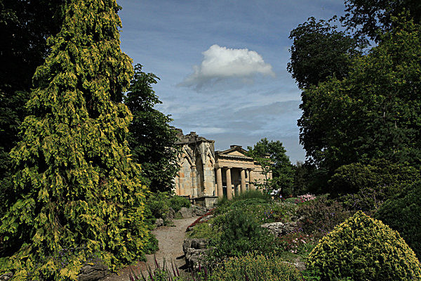 IMG_8224 - MUSEUM GARDENS