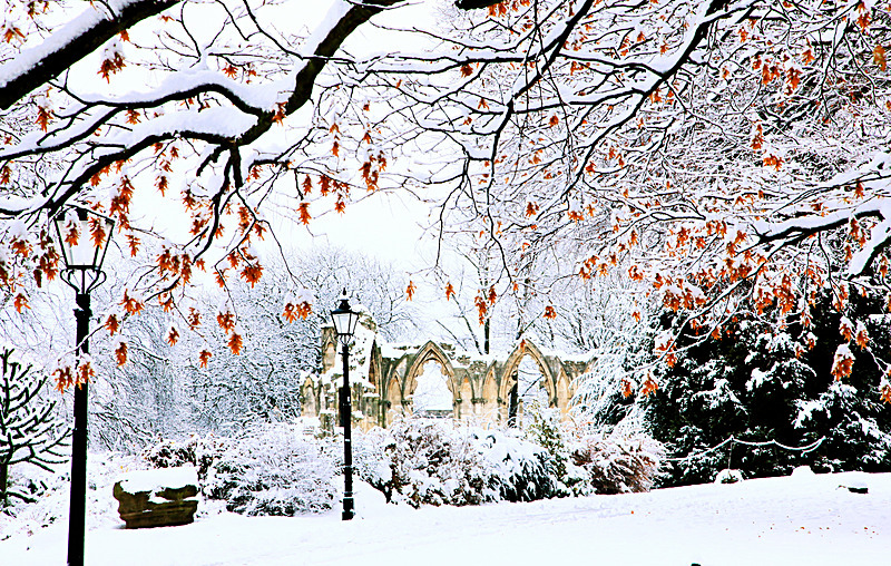 NOVEMBER 2010 - FOUR SEASONS MUSEUM GARDENS
