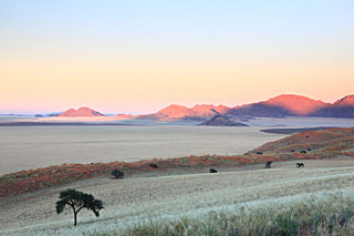 IMG_9966 - NAMIBIA 2012