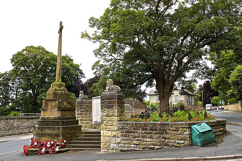 IMG_7511 - MALTON IN BLOOM 2017