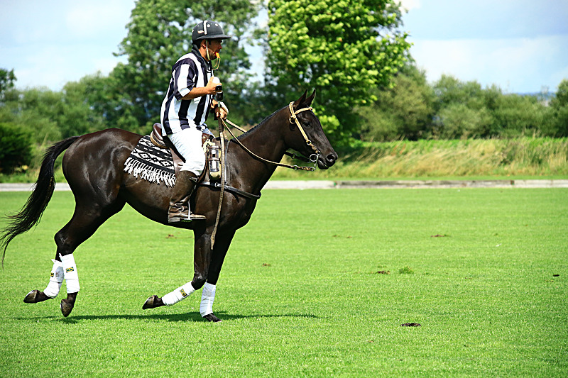 BV6R6762 - WHITE ROSE POLO CLUB LADIES DAY
