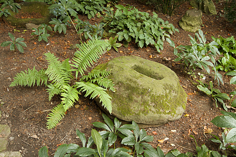 SEPTEMBER  2014  -6 - FOUR SEASONS MUSEUM GARDENS
