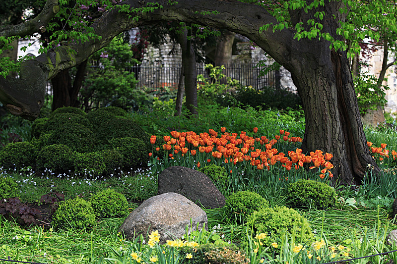 MAY 2015 -3 - FOUR SEASONS MUSEUM GARDENS