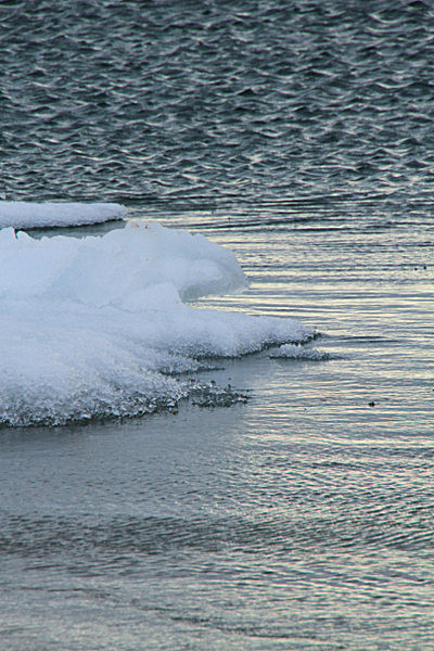 IMG_8216_2 - SVALBARD 2013