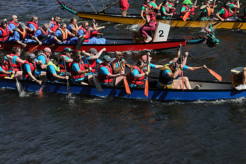 THE YORK ROTARY DRAGON BOAT CHALLENGE 2026 - 46 of 426 - DRAGON BOAT RACE 2026. York Rotary Club.