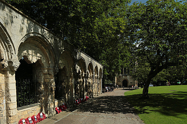 IMGL7919 - MUSEUM GARDENS