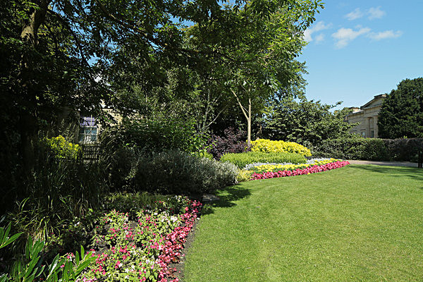 IMGL7841 - MUSEUM GARDENS