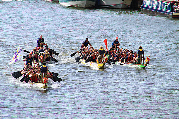 IMG_9199 - DRAGON BOAT RACE 2013 York Rotary Club