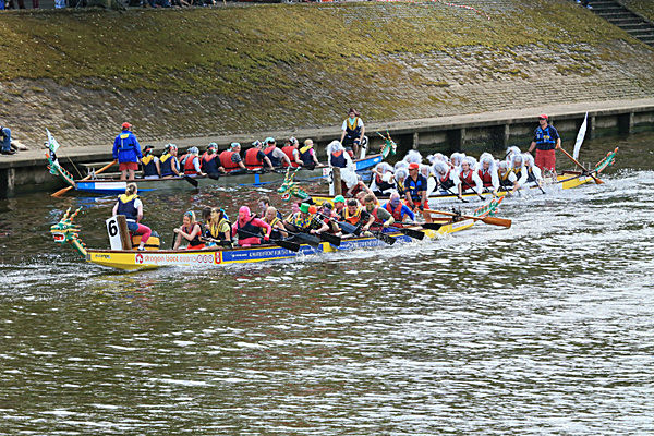 IMGL6932 - DRAGON BOAT RACE 2014 York Rotary Club