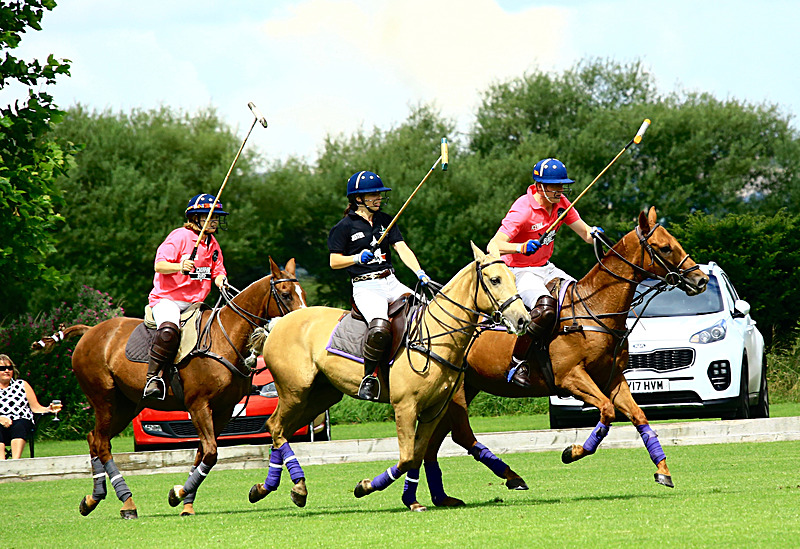 BV6R6808 - WHITE ROSE POLO CLUB LADIES DAY