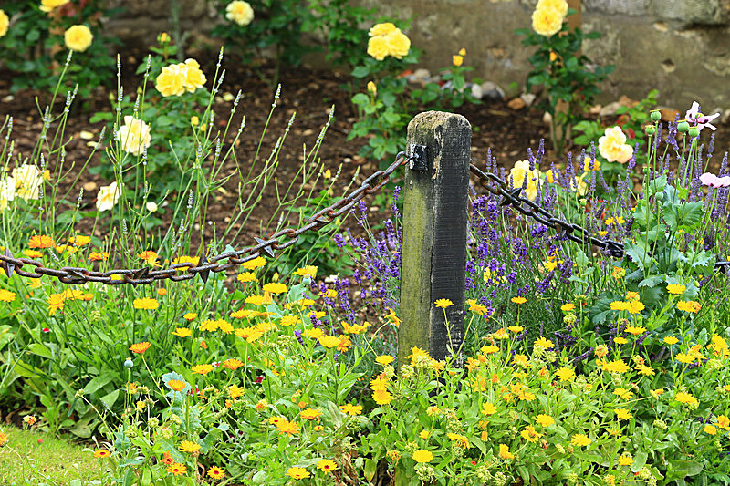 BV6R3984 - MALTON IN BLOOM 2017