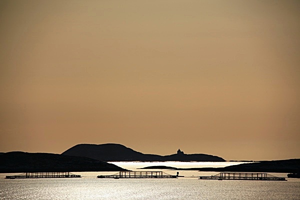  - NORWAY& NORTHERN LIGHTS 2010