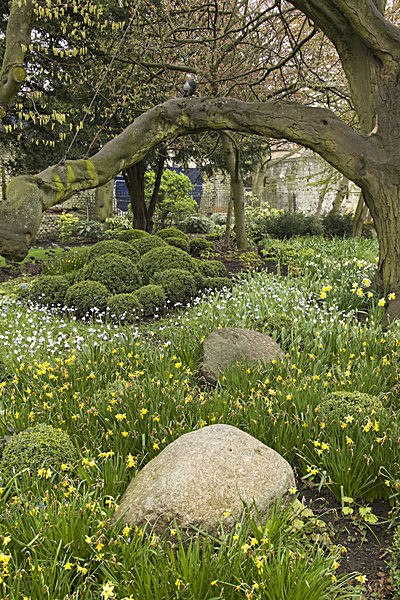 IMGL2097_2 - MUSEUM GARDENS