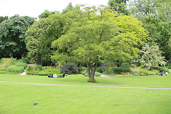 IMGL5619 - MUSEUM GARDENS