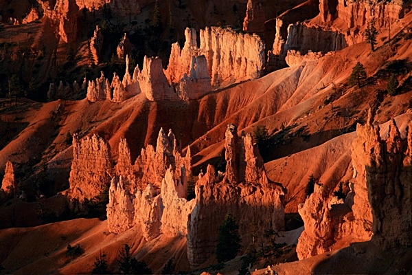 Sunrise Bryce Canyon - WEST COAST OF AMERICA
