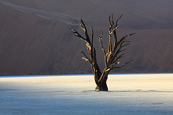 IMG_0456  DEADVLEI MORNING LIGHT NAMIBIA - LIGHT & LAND PHOTOGRAPHY EXHIBITION. MALL GALLERIES, LONDON. Sun 23rd March - Sat 29th March 2014