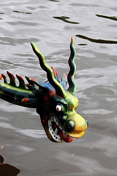  - DRAGON BOAT RACE 2009   2