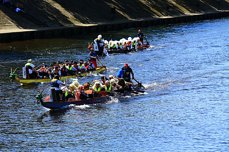 BV6R4451 - DRAGON BOAT RACE 2017