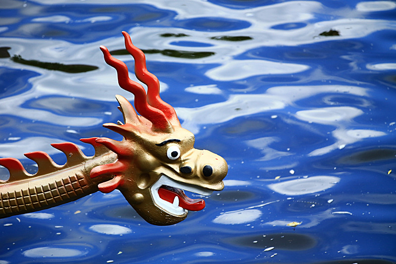 BV6R4303 - DRAGON BOAT RACE 2017